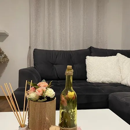 Apartman Arya Vlasic 公寓 Sisava